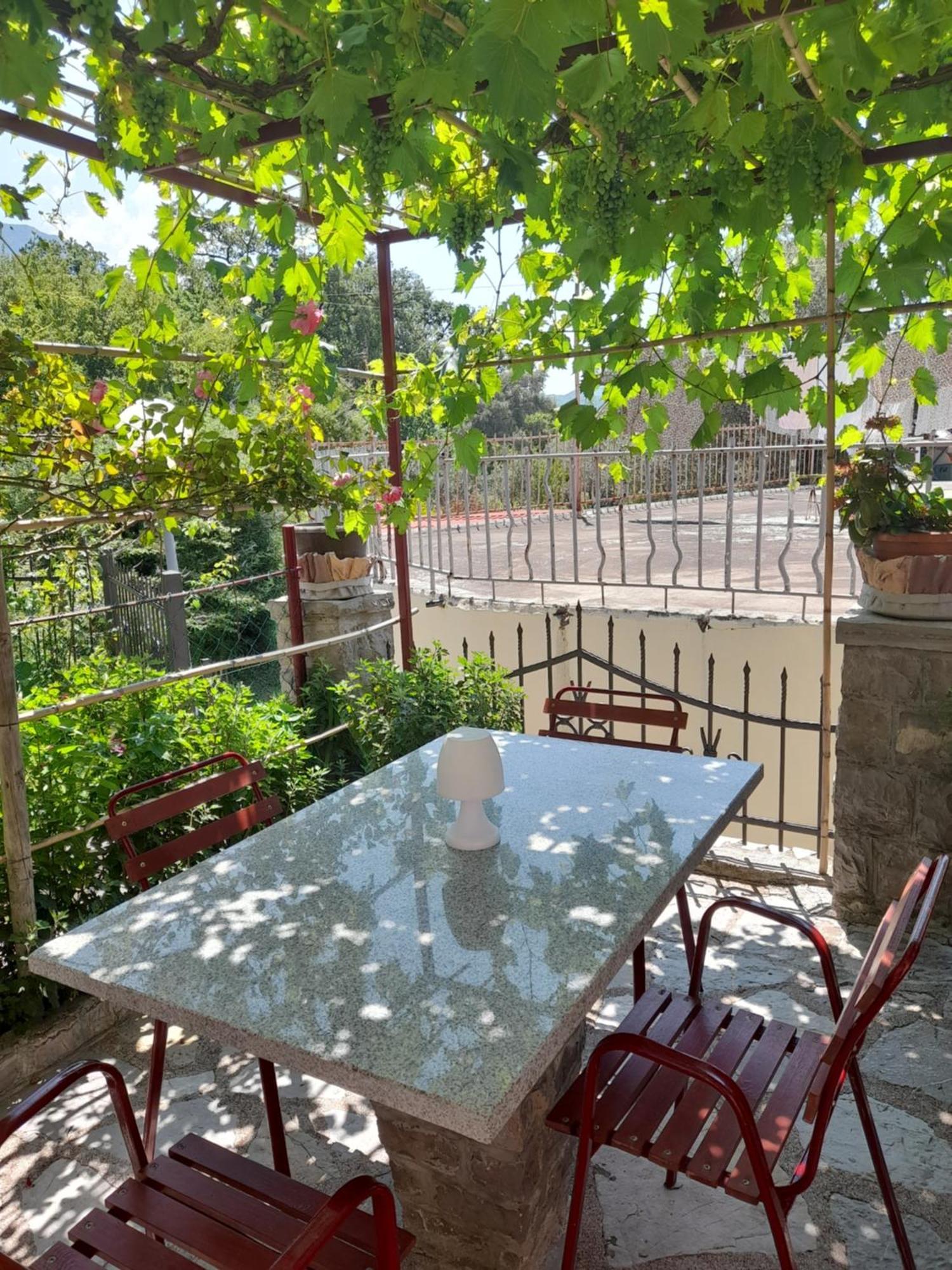 Apartments Kovacevic Petrovac Rum bild