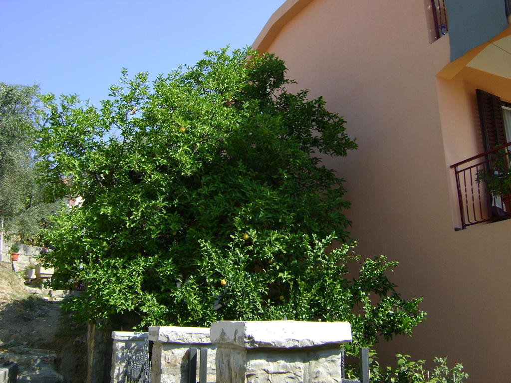 Apartments Kovacevic Petrovac Exteriör bild